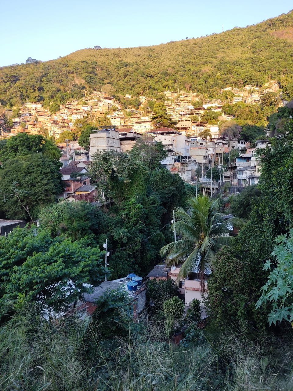 Morro da Formiga - Tijuca